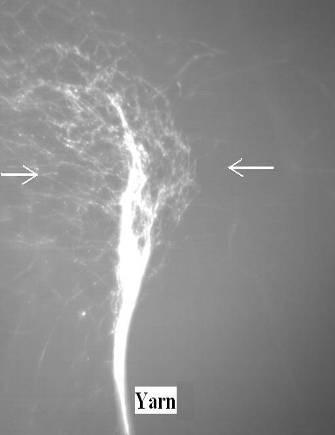 高速相機拍攝正/負電荷納米纖維空